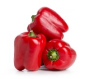 Paprika rot