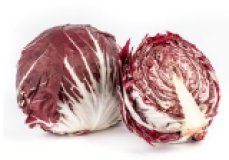 Radicchio