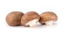 Champignon - Egerlinge