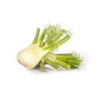 Fenchel