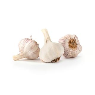 Knoblauch