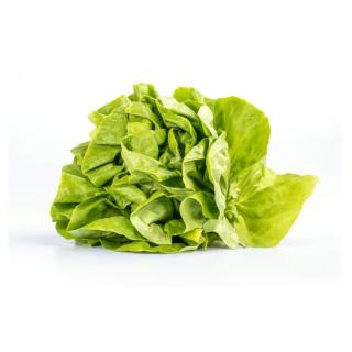 Kopfsalat