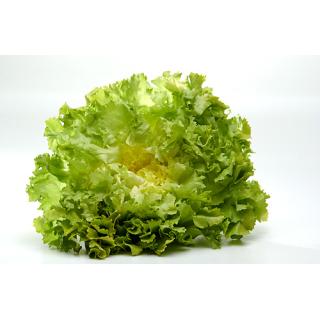 Endivie