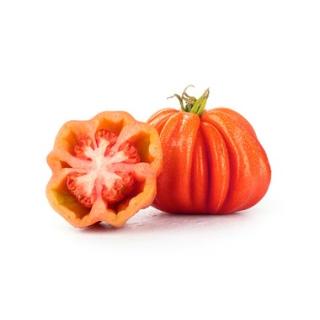 Ochsenherz Tomaten