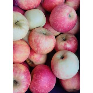 Äpfel Elstar