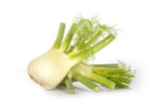 Fenchel