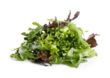 Pflücksalat