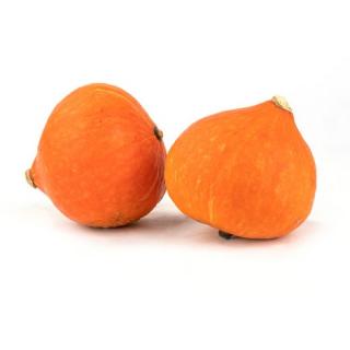 Hokkaido-Kürbis