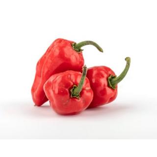 Chili "Habanero"