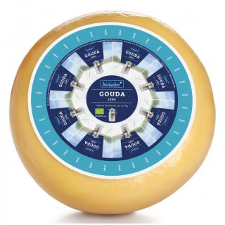 Gouda jung 50% Fett i. Tr.