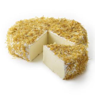 Damse Brie Marigold (Ringelblume)